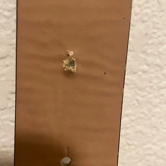 Michael Kors Patterned Belt with Gold Logo Buckle - Picture 5 of 6